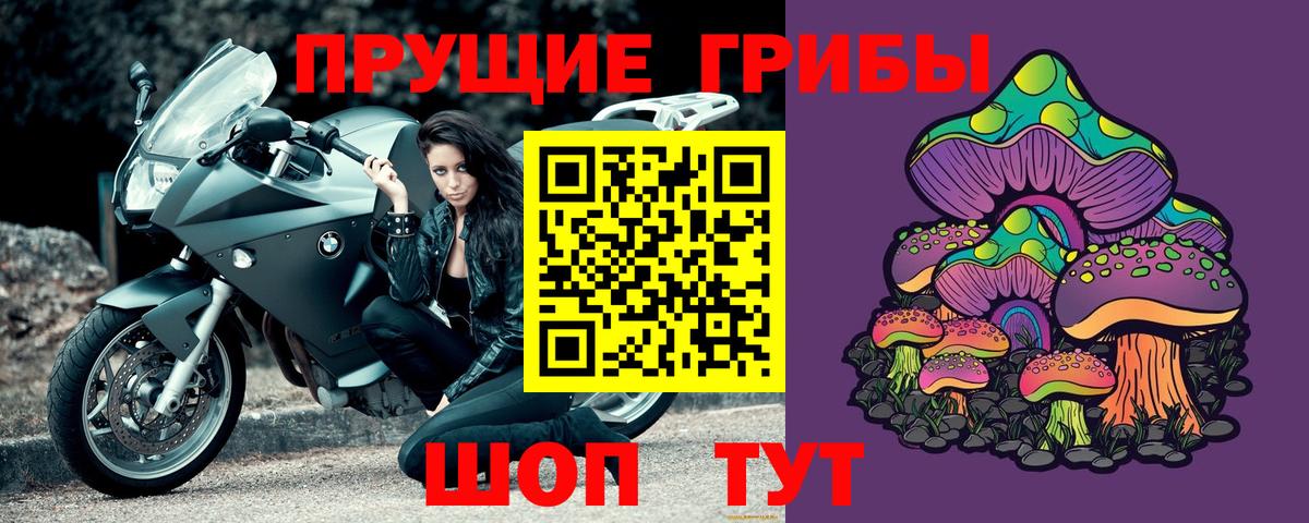 Корсаков  Псилоцибиновые грибы мухоморы  Вход с VPN 
